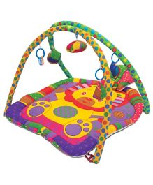 babyhug play gym